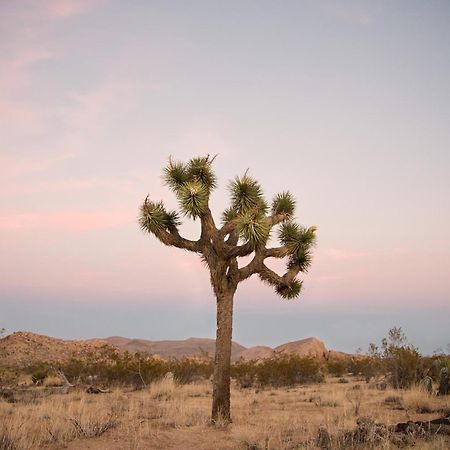Modern Desert Dream - New Build Twentynine Palms Exterior photo